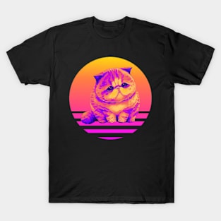 Sad Kitty Cat Retro Sunset T-Shirt